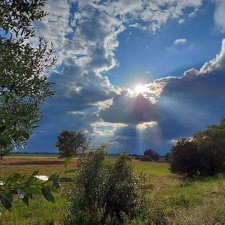Auszeit Auf Dem Drachenhof, Hyggehaus