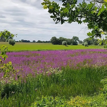 Auszeit Auf Dem Drachenhof, Hyggehaus *