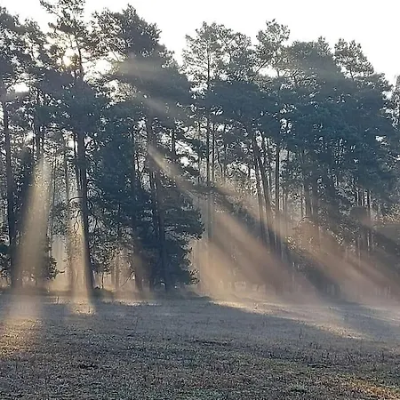 Auszeit Auf Dem Drachenhof, Hyggehaus * Plattenburg