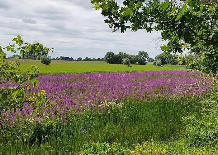 Auszeit Auf Dem Drachenhof, Hyggehaus *